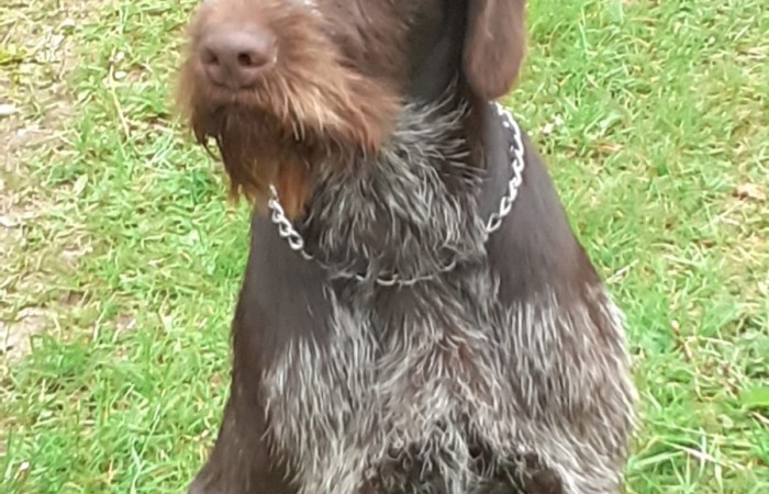 VJP: 44 Punkte;
HZP: 174 Punkte