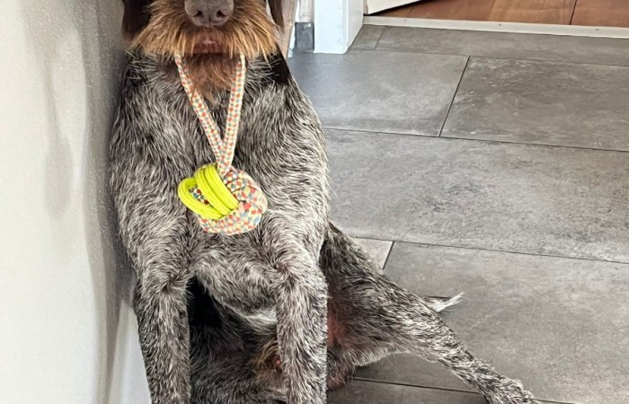 VJP: 73 Punkte; HZP: 183 Punkte